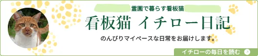 看板猫 イチロー日記