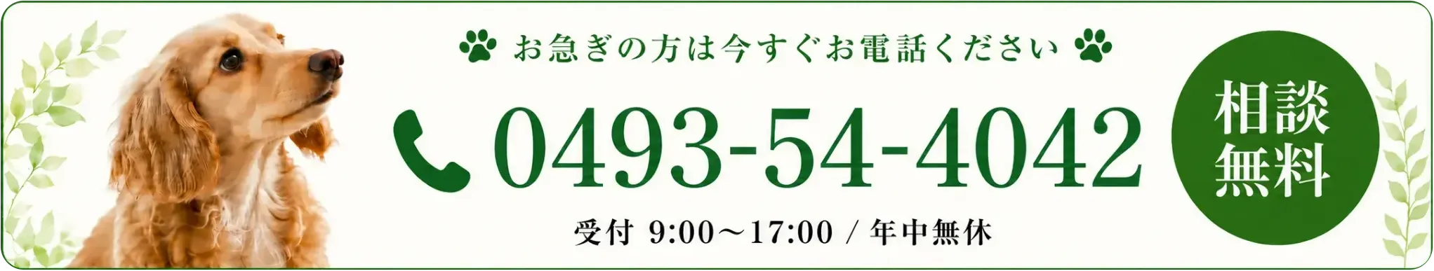 お急ぎの方は今すぐお電話ください 0493-54-4042 受付9:00〜17:00 年中無休
