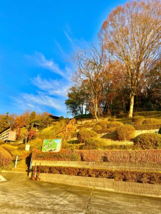 パーク入口秋の景色