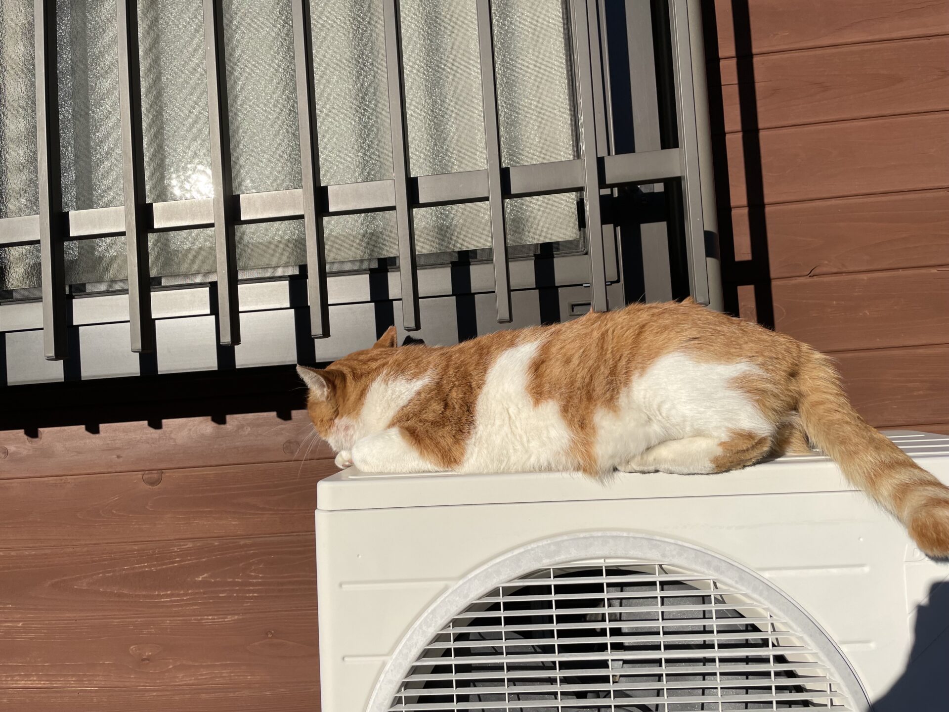 おひるねイチロー