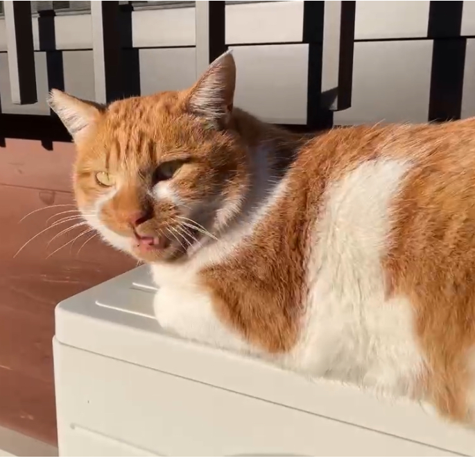 イチローon the エアコン