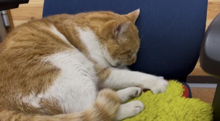 イチローふみふみ