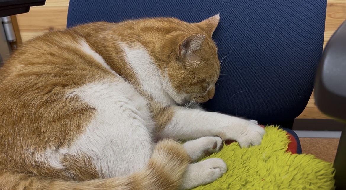 イチローふみふみ