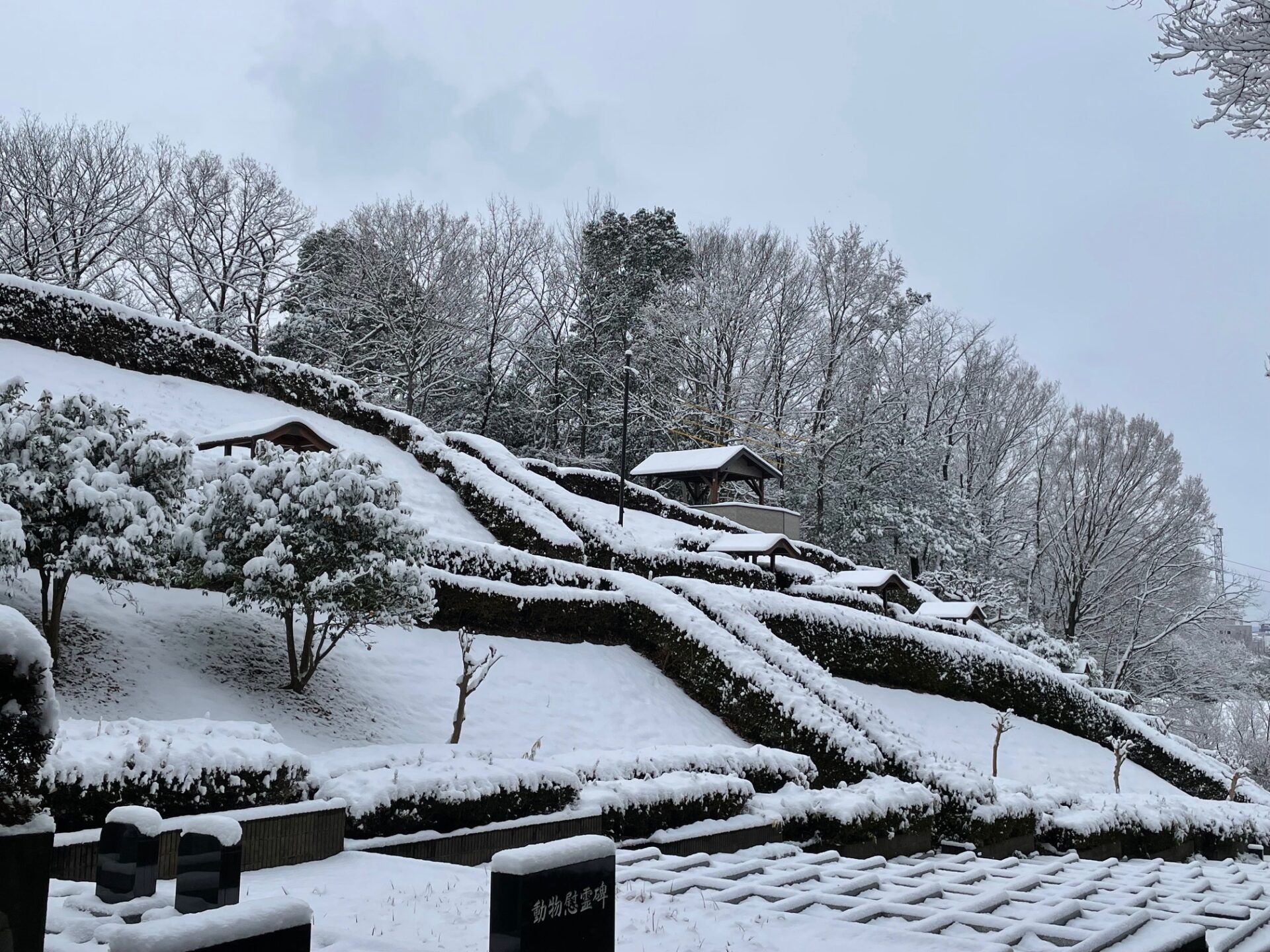雪景色　霊園