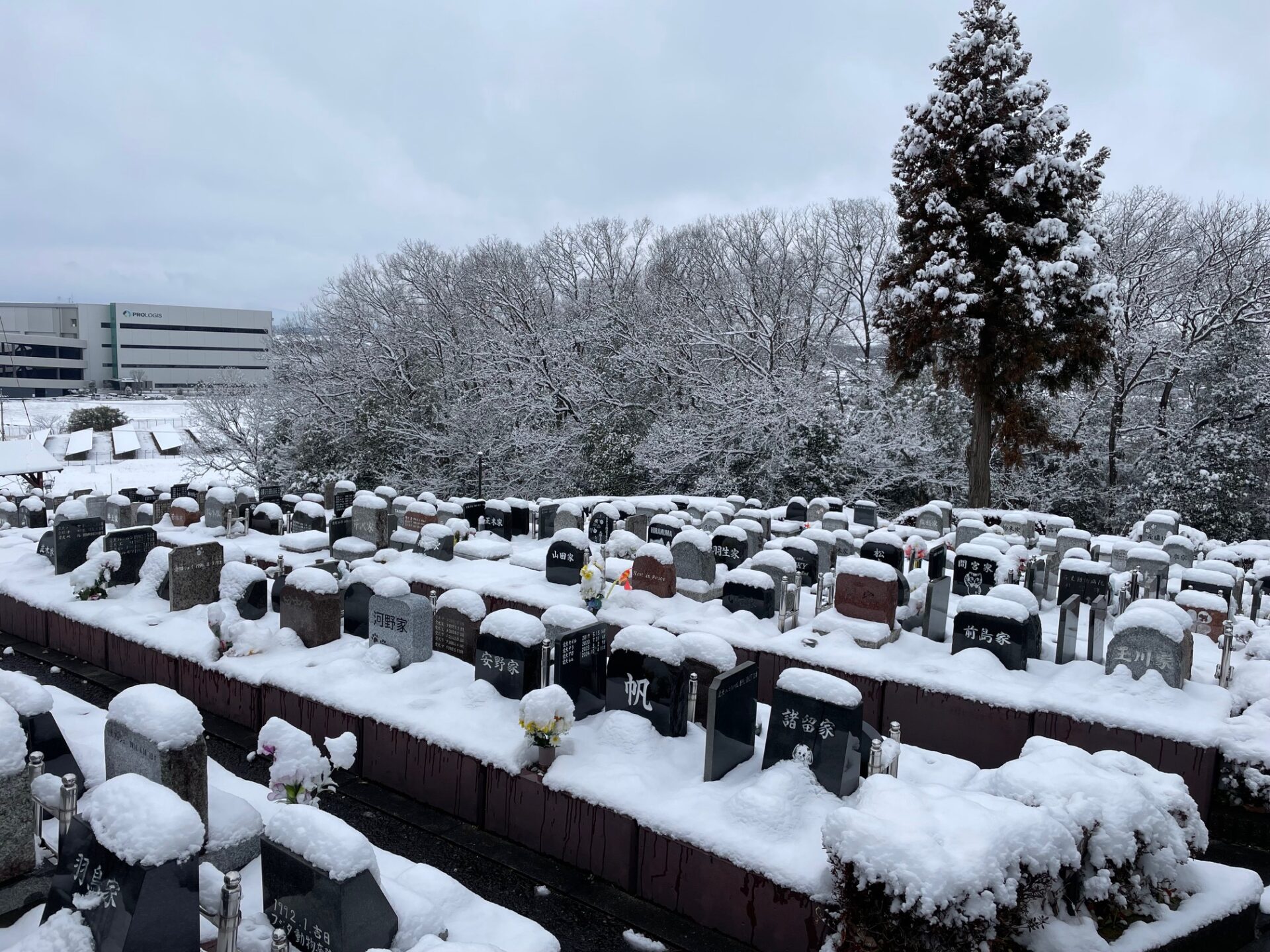 お墓　雪