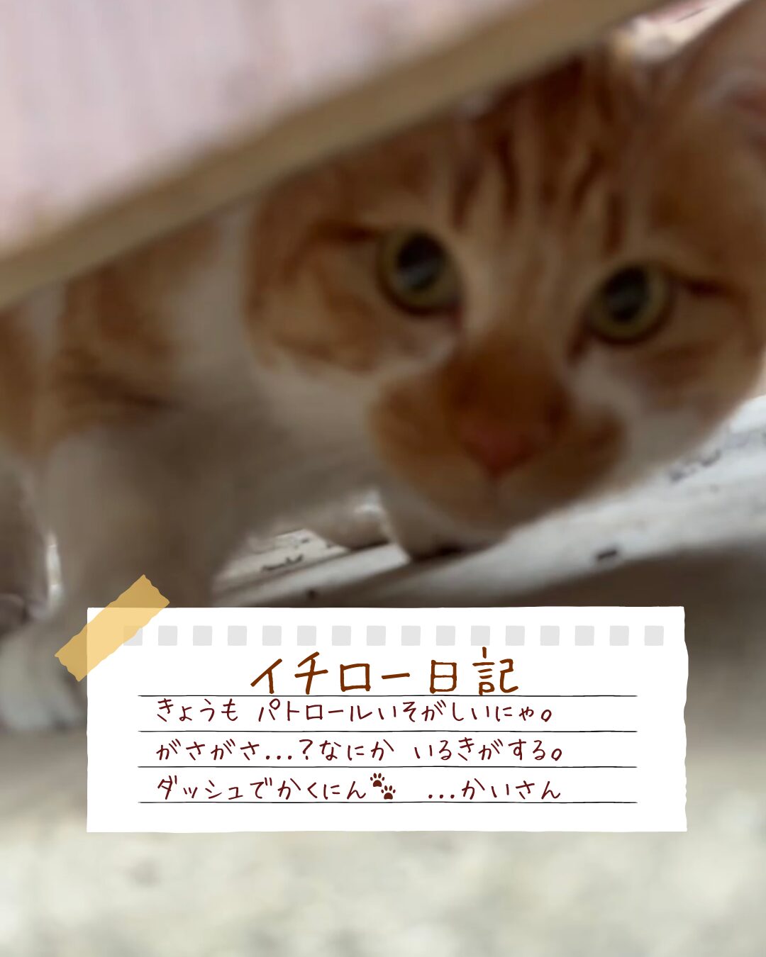 イチロー日記　隙間から