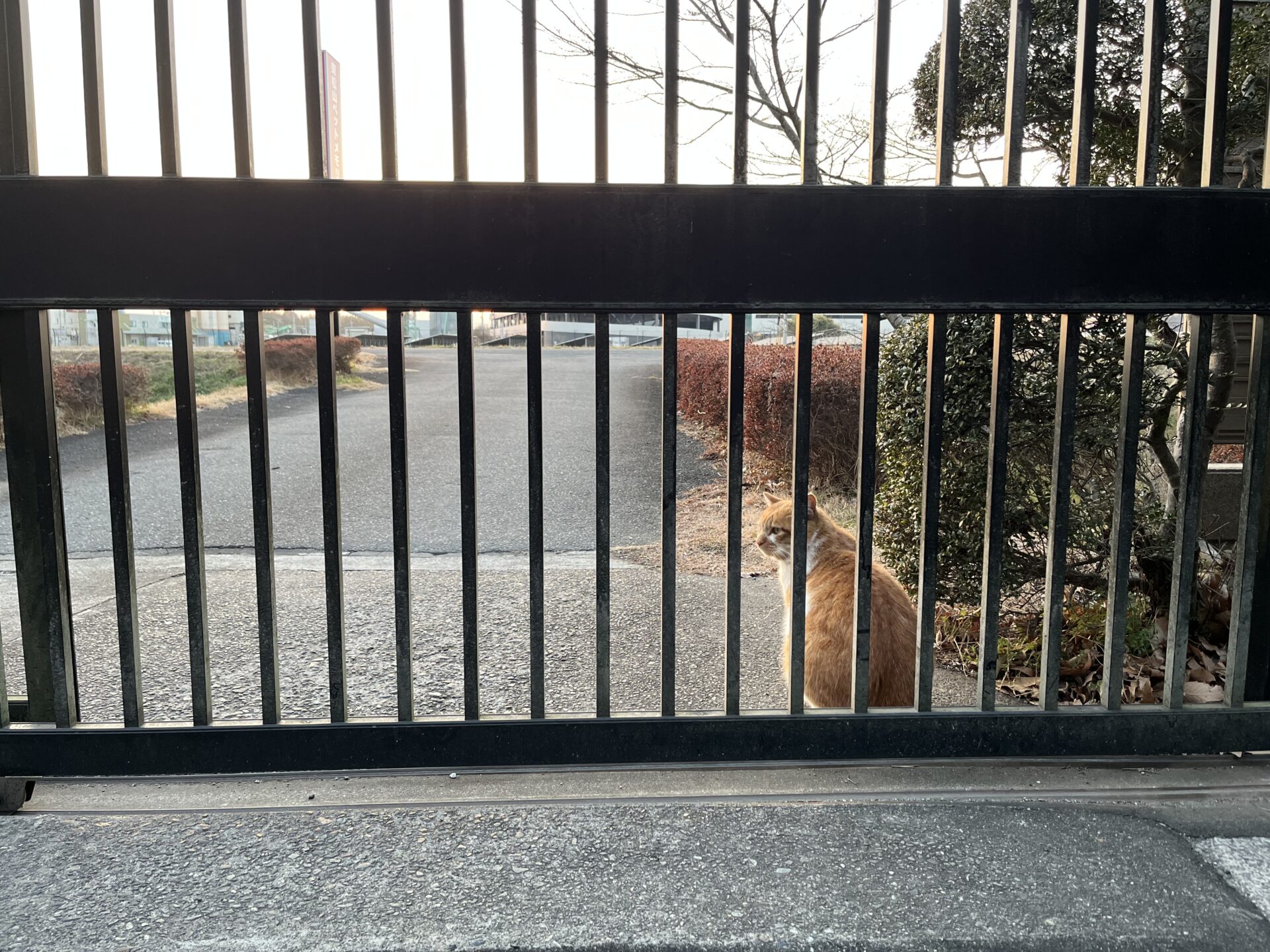 門の前　イチロー