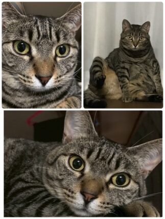 なおひろちゃん