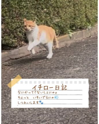 ダッシュするイチロー