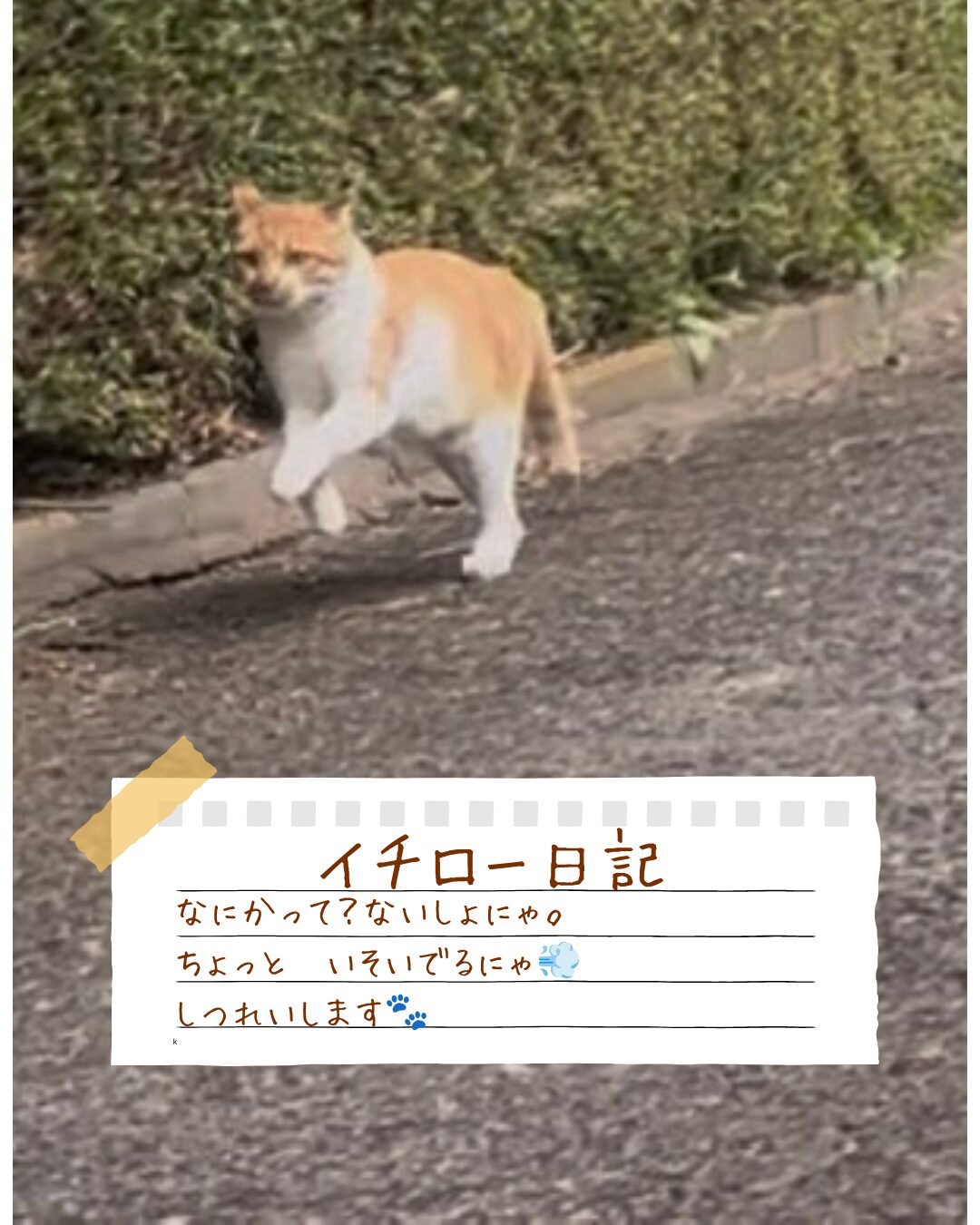 ダッシュするイチロー
