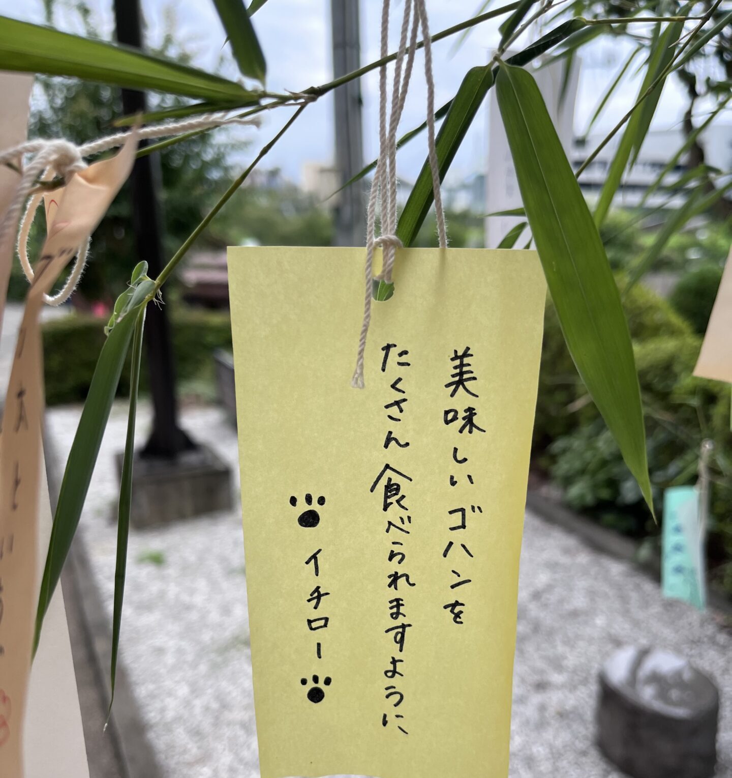 イチローの願い