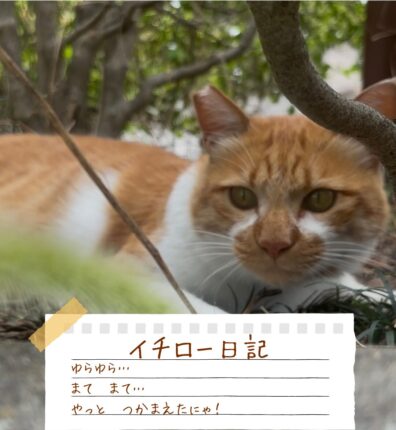 イチロー日記