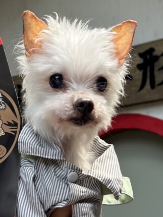 森　仁之亮くんの立会火葬