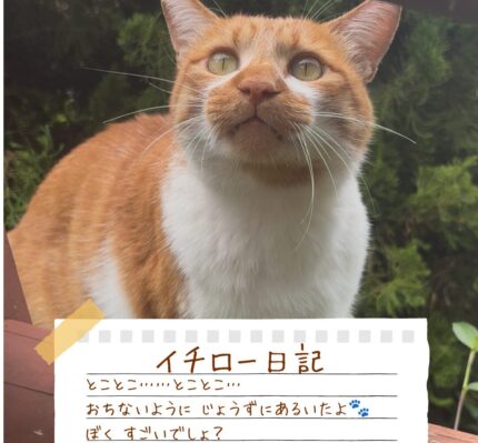 イチロー日記