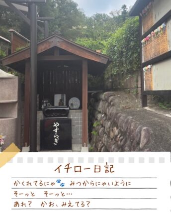 イチロー日記 かくれんぼ