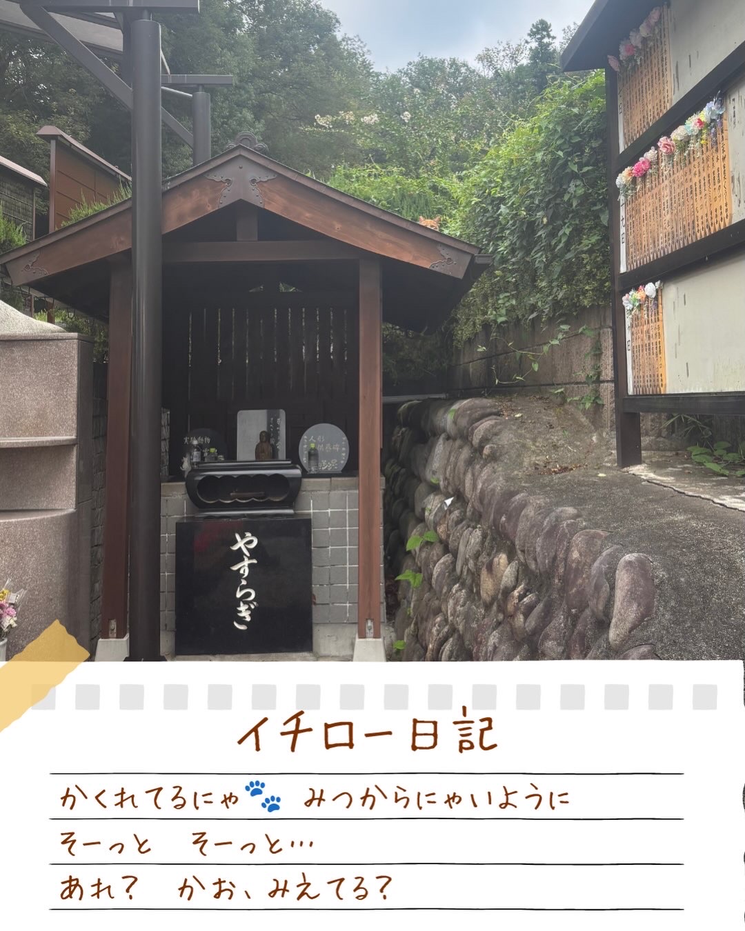 イチロー日記　かくれんぼ