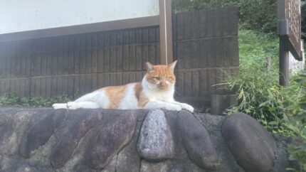 イチロー