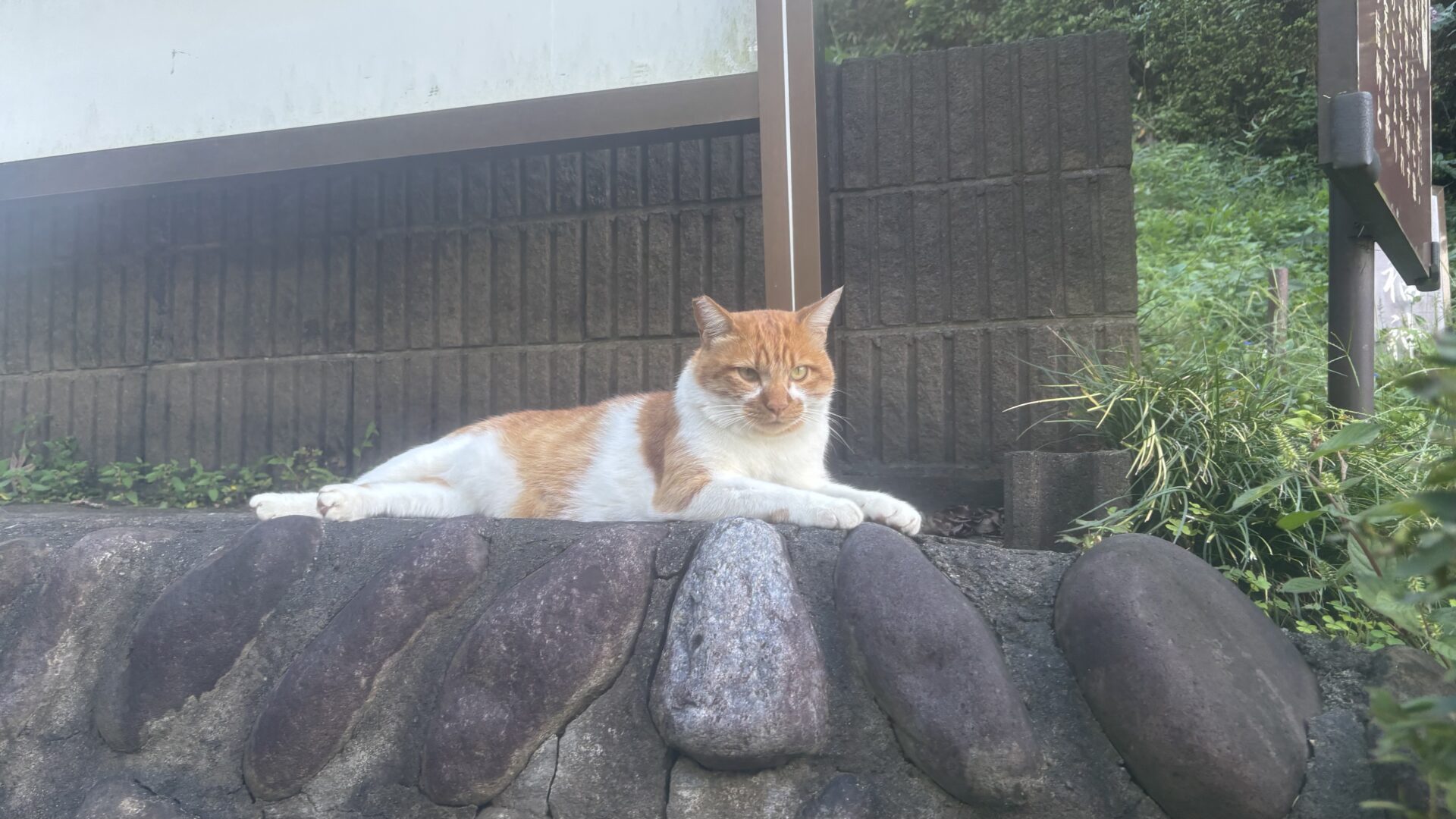イチロー