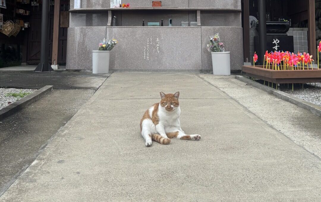 イチロー
