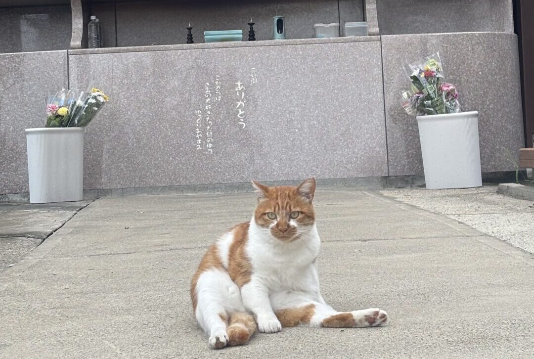 イチロー