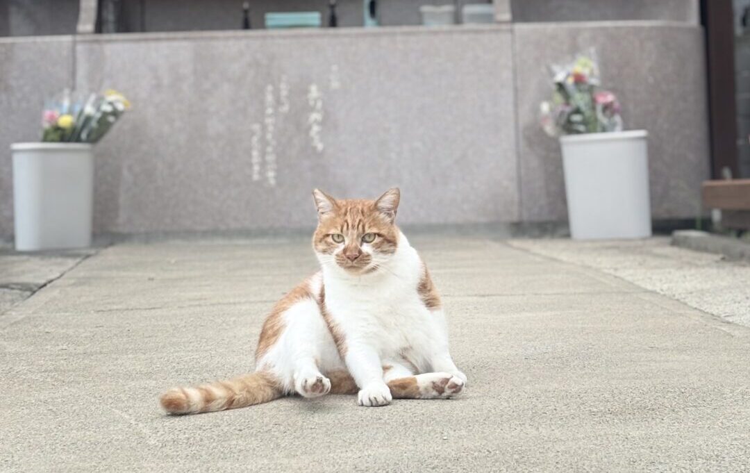 イチロー